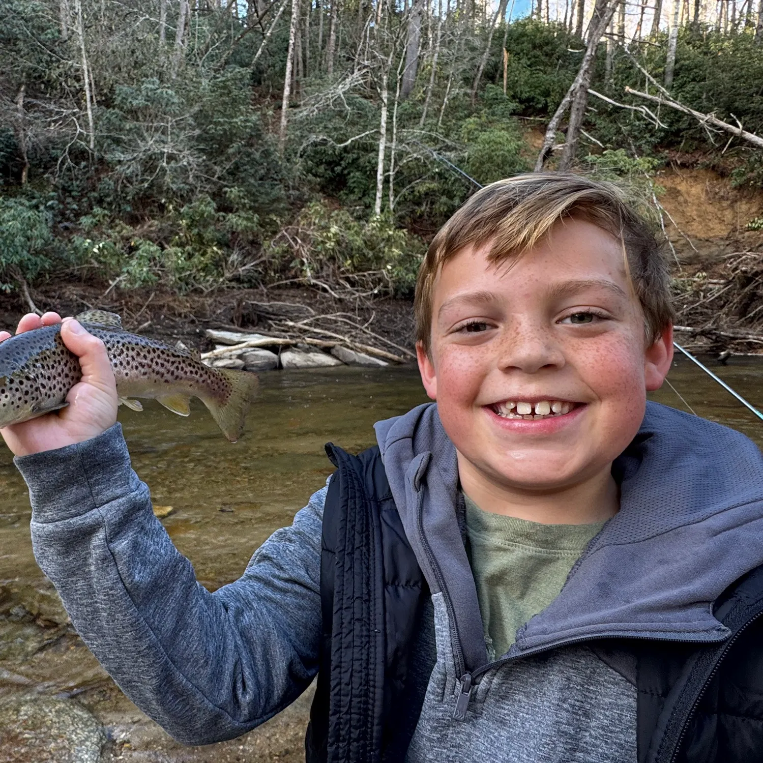 Sea trout caught on Fishbrain