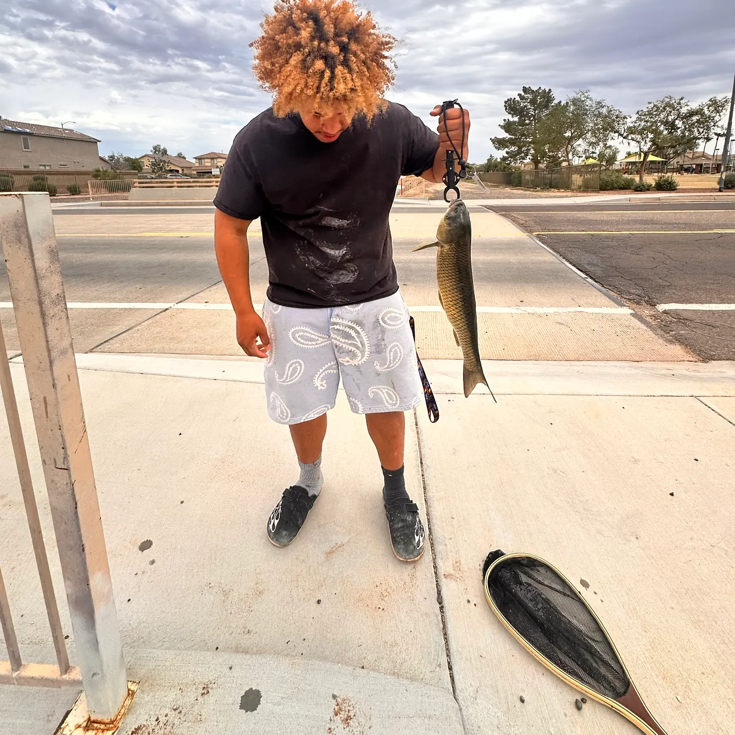 The most recent Grass carp catches on Fishbrain