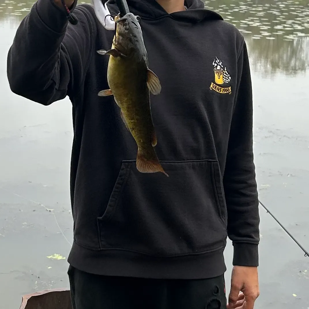 The most recent Flat bullhead catches on Fishbrain