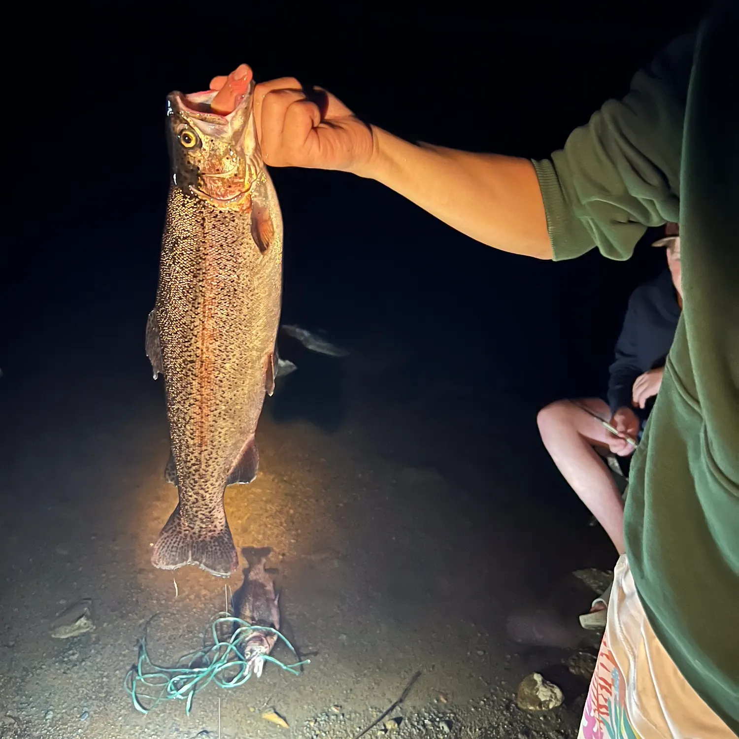 Rainbow trout caught on Fishbrain
