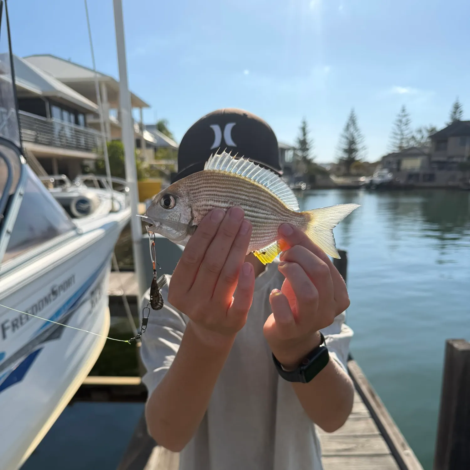 The most recent Goldlined seabream catches on Fishbrain