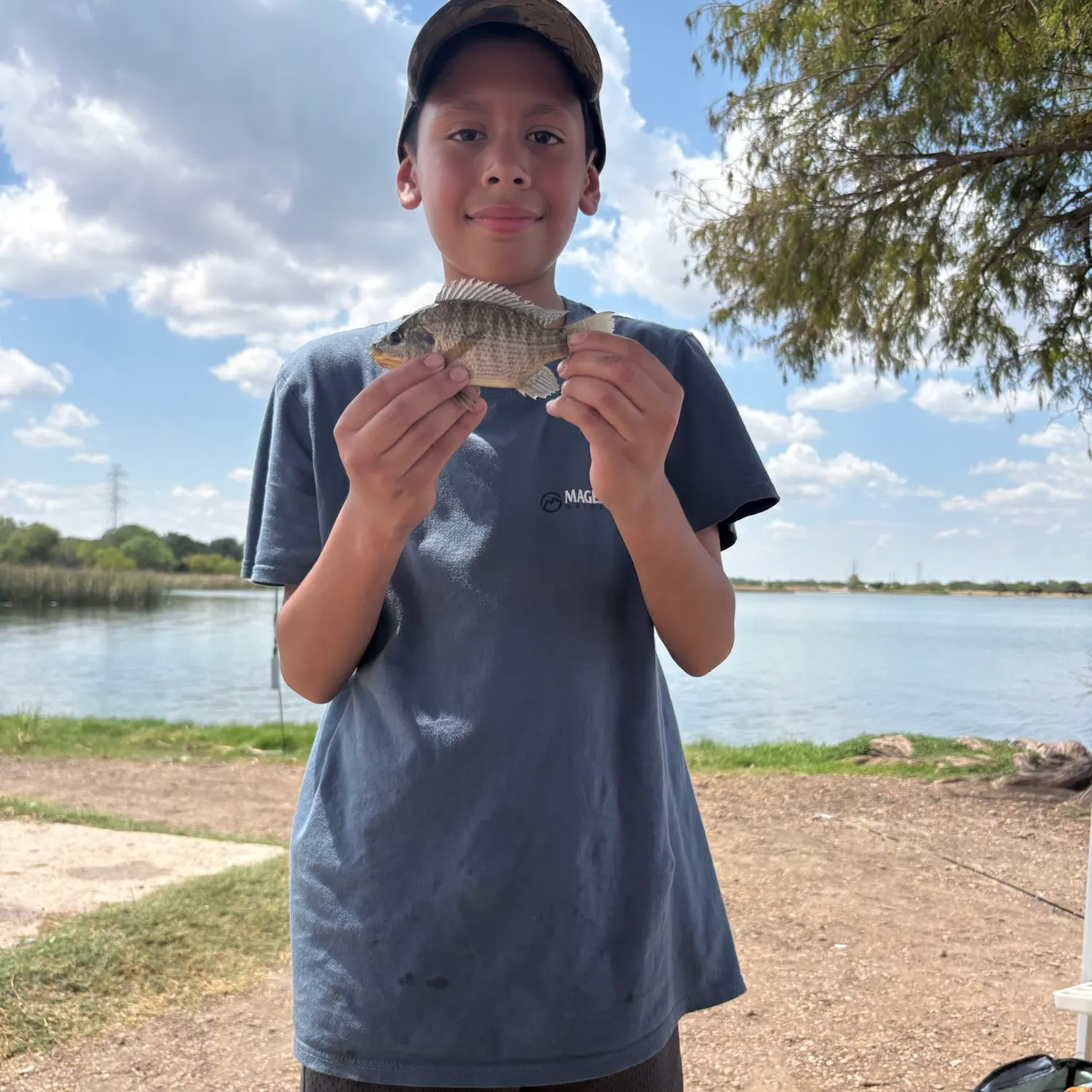 Green sunfish caught on Fishbrain