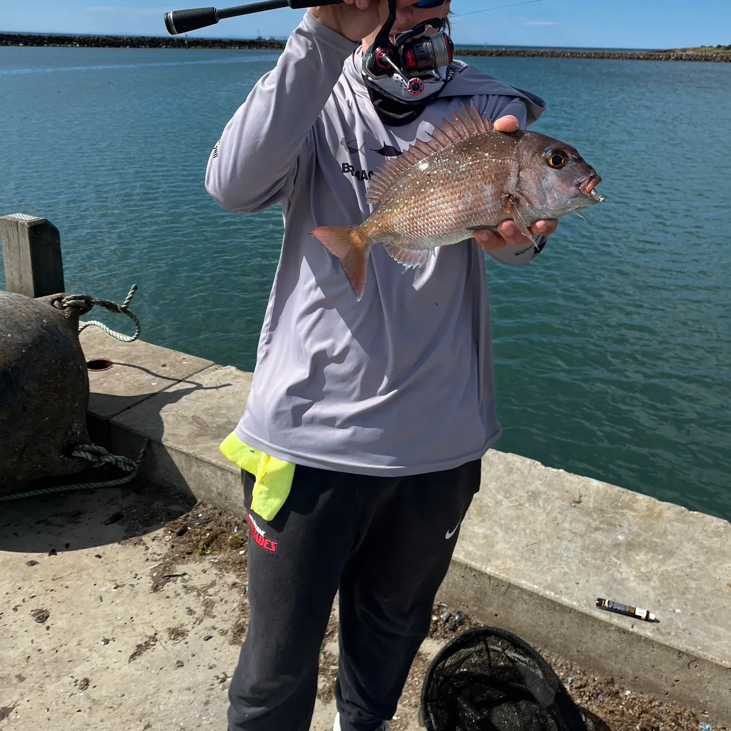 Australasian snapper caught on Fishbrain