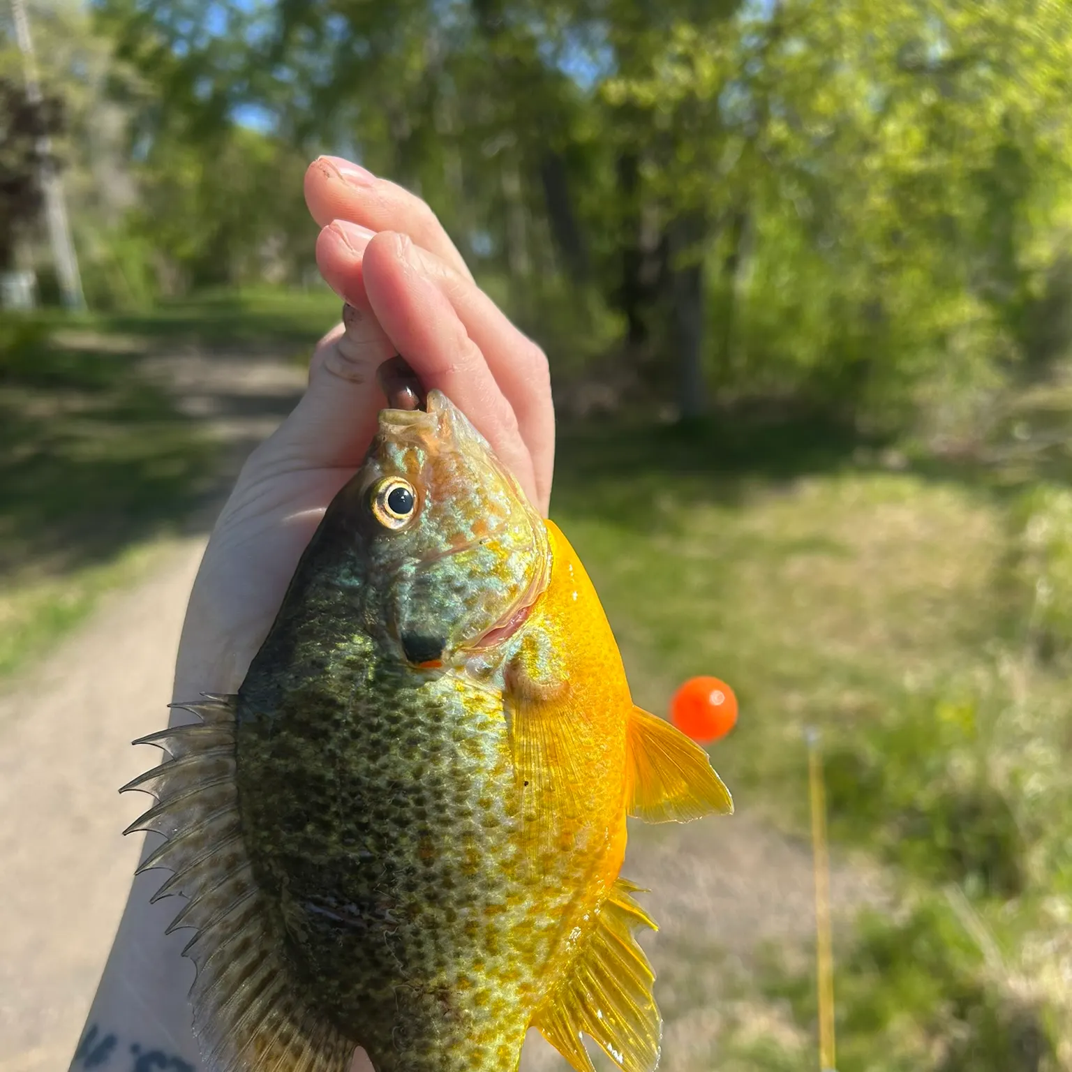 catch