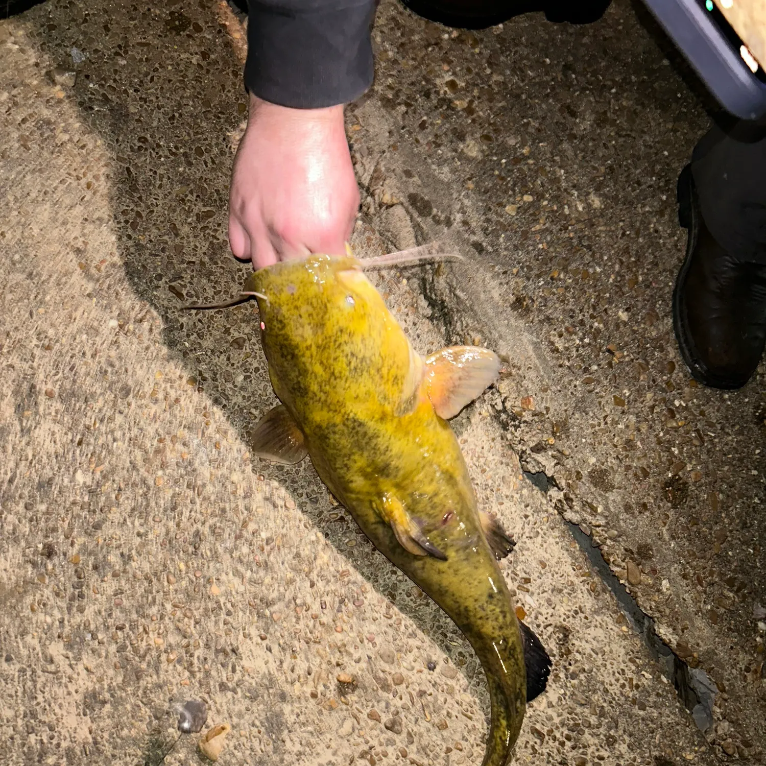 catch