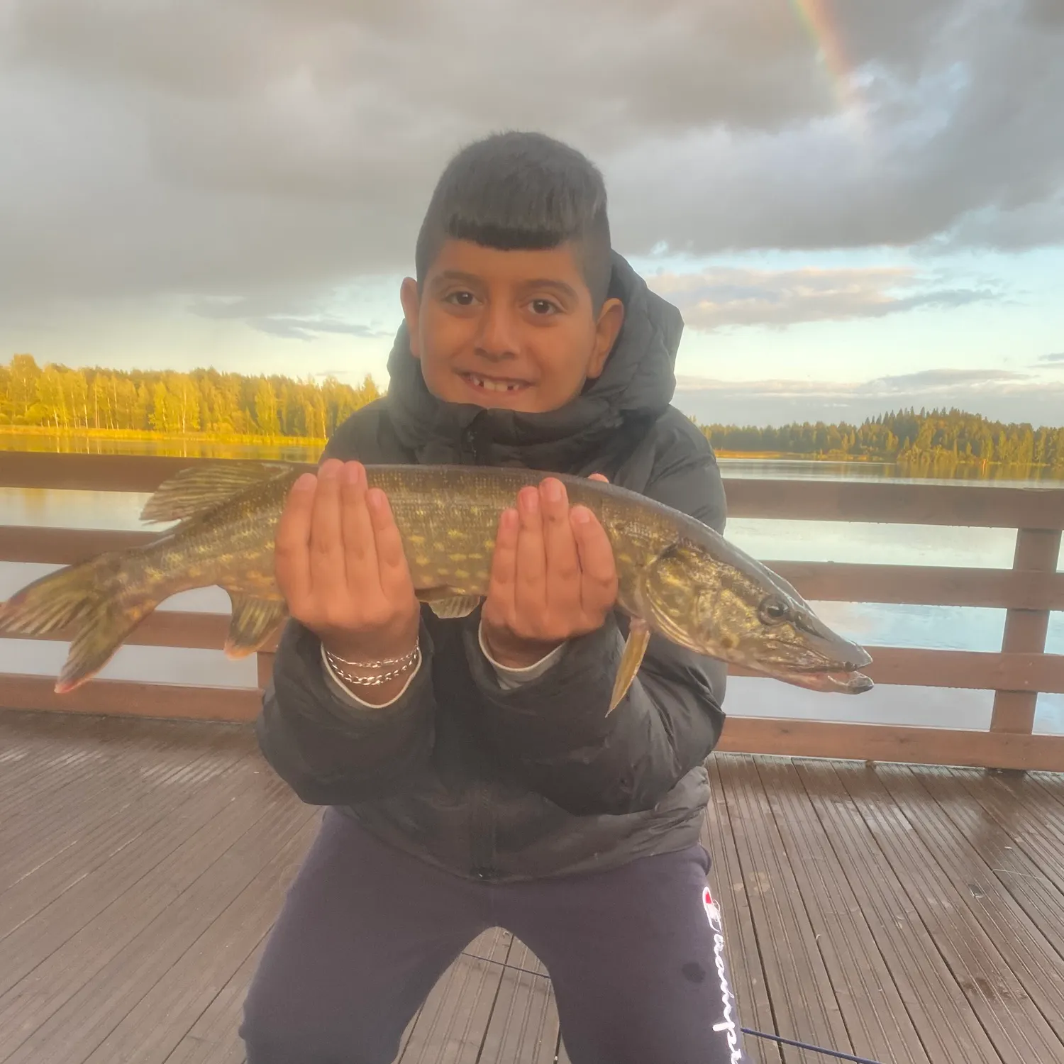 Northern pike caught on Fishbrain