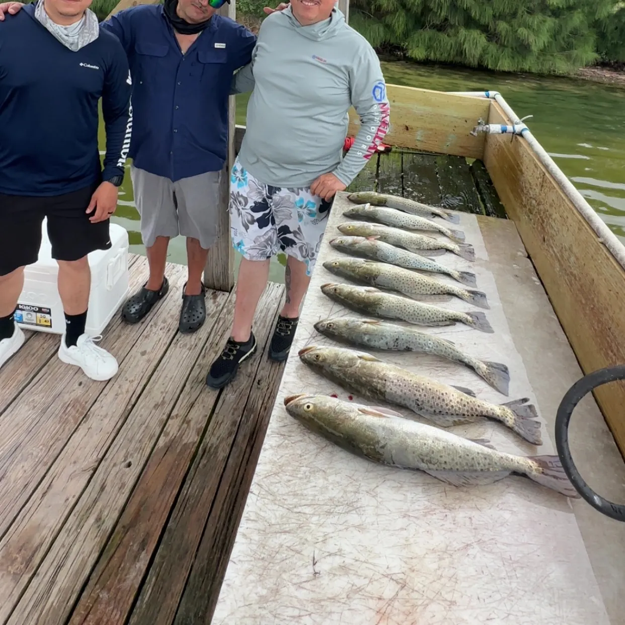 recently logged catches