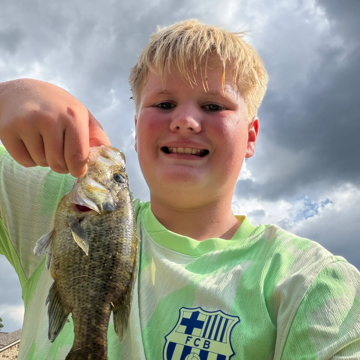 The most recent Warmouth x green sunfish catches on Fishbrain
