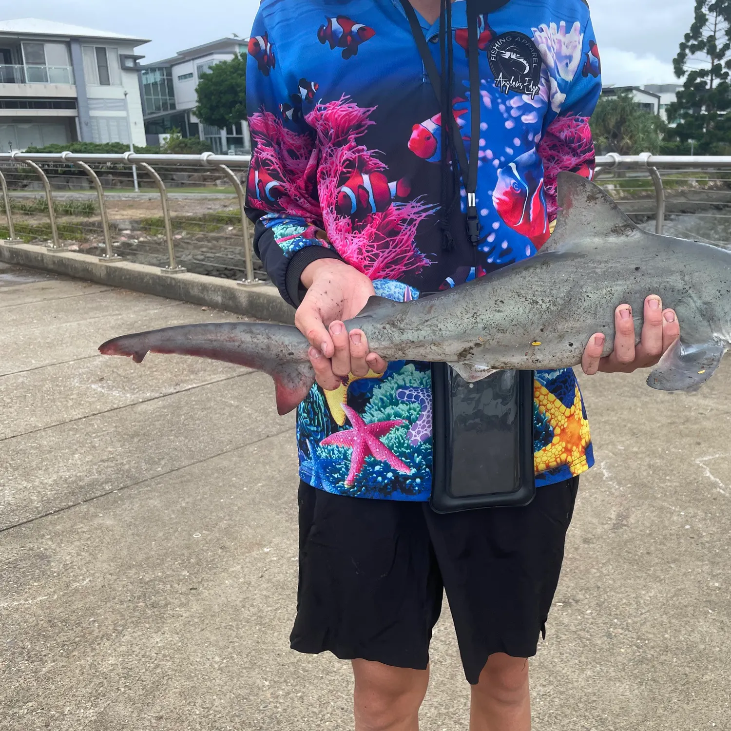 The most recent Bull shark catches on Fishbrain