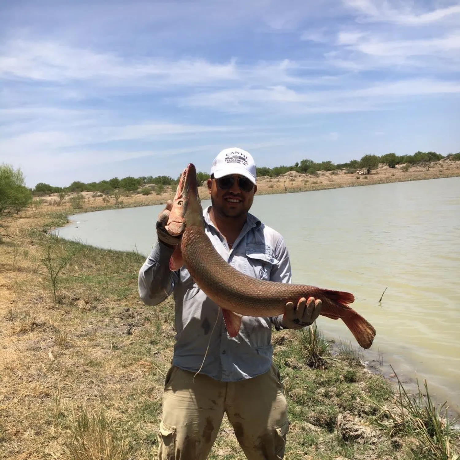 The most recent Alligator gar catches on Fishbrain