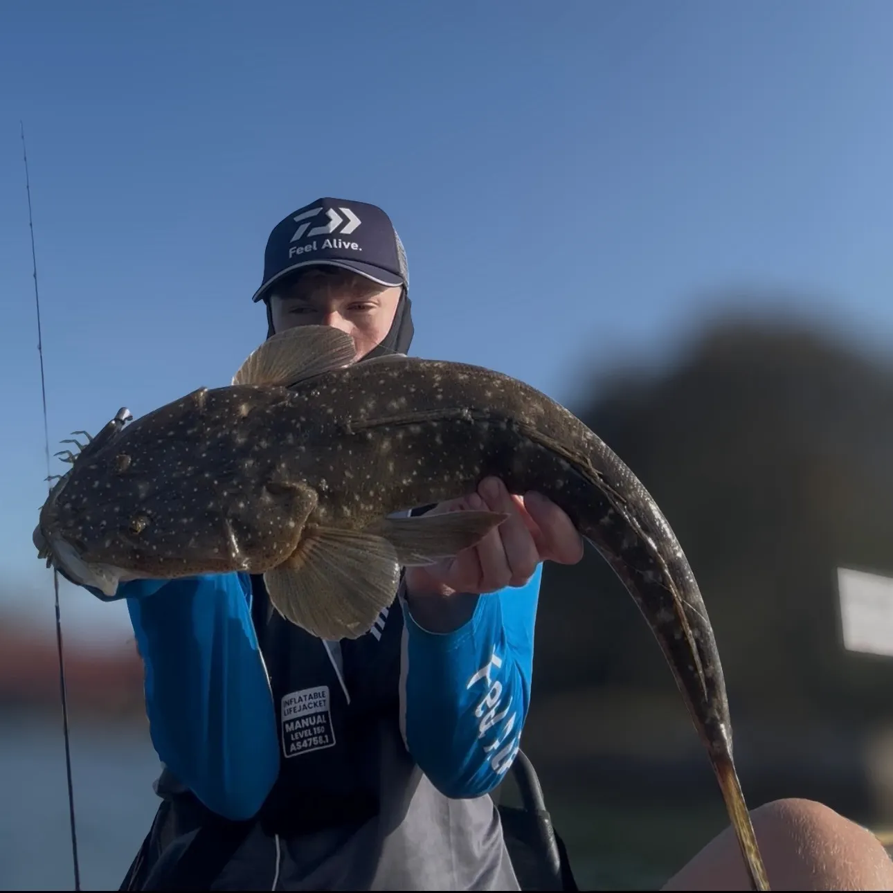 The most recent Dusky flathead catches on Fishbrain