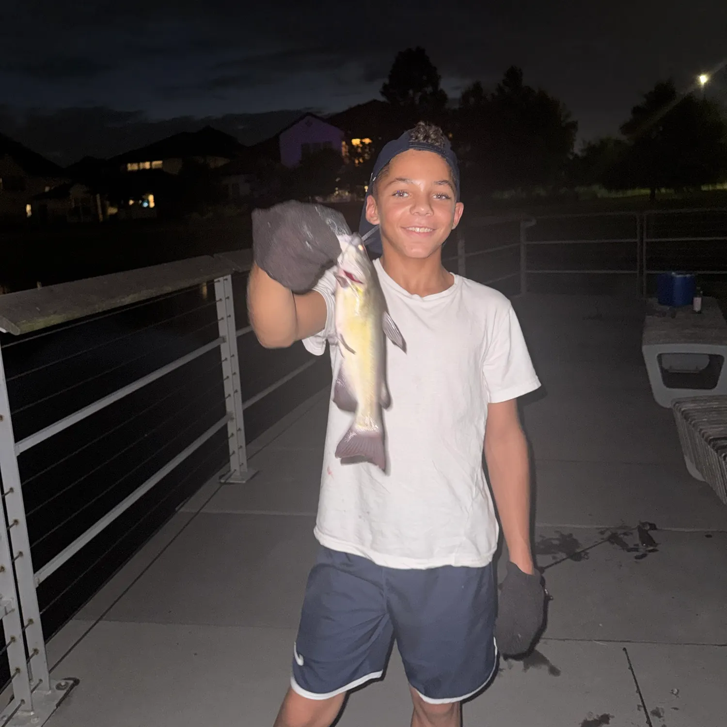 Channel catfish caught on Fishbrain
