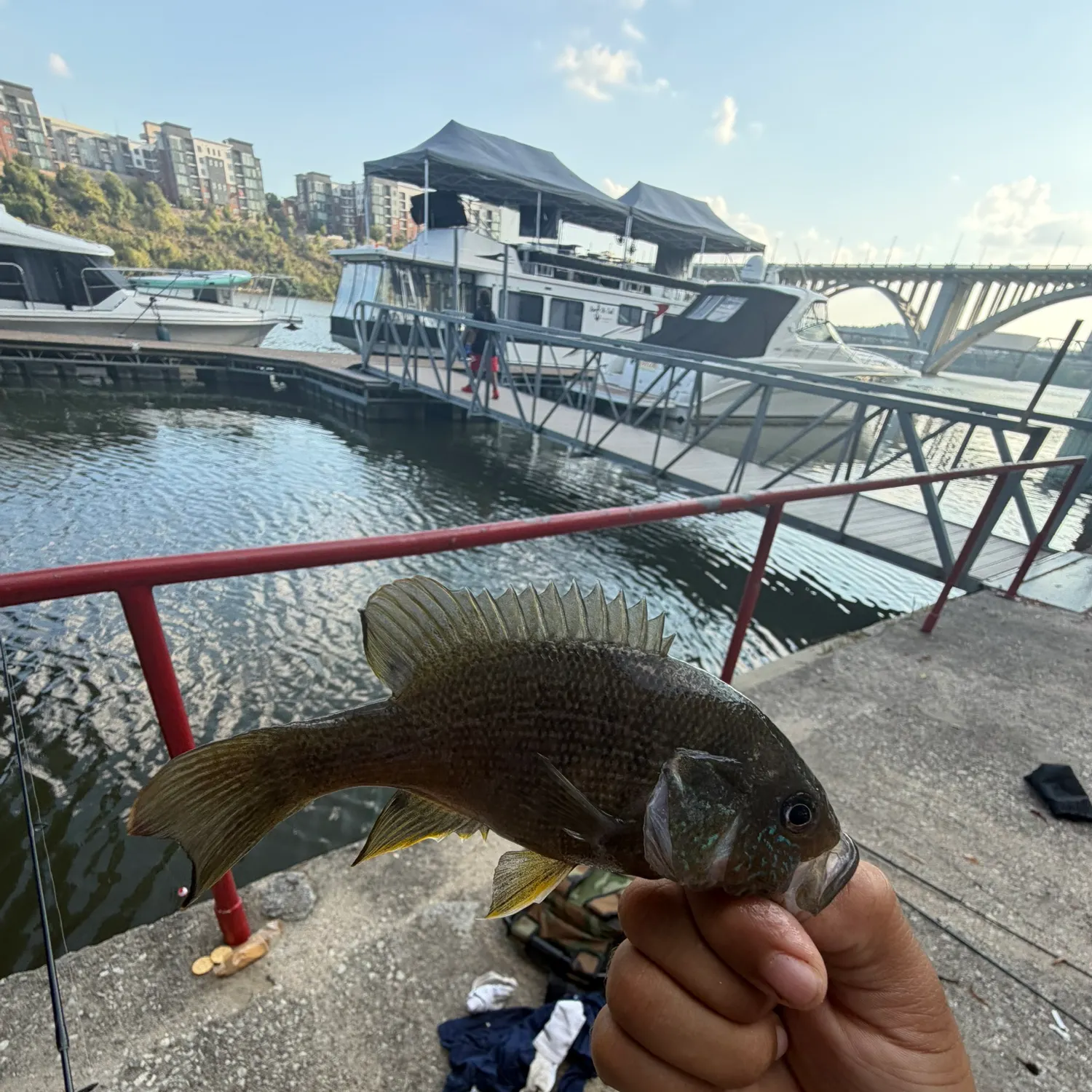 catch