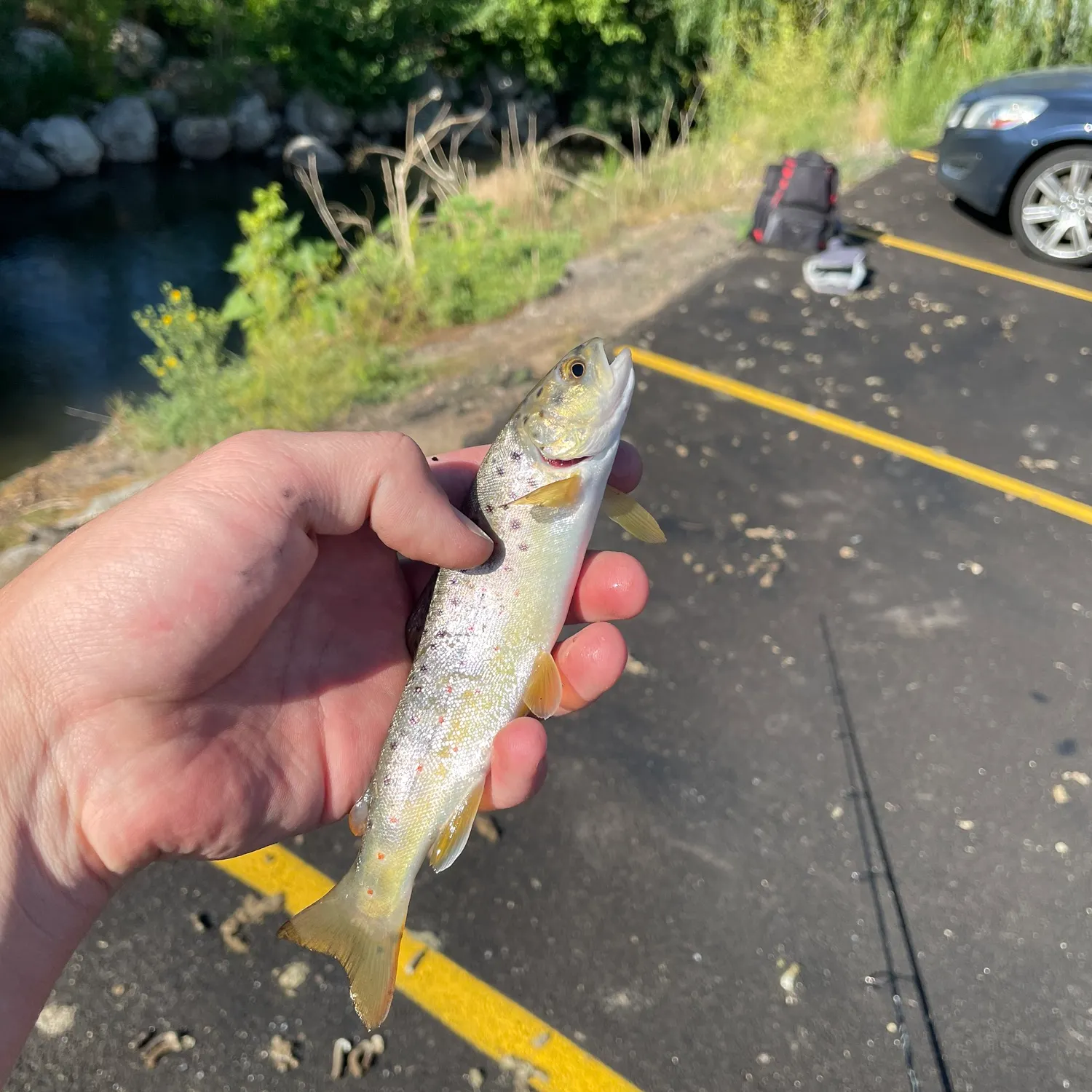 catch