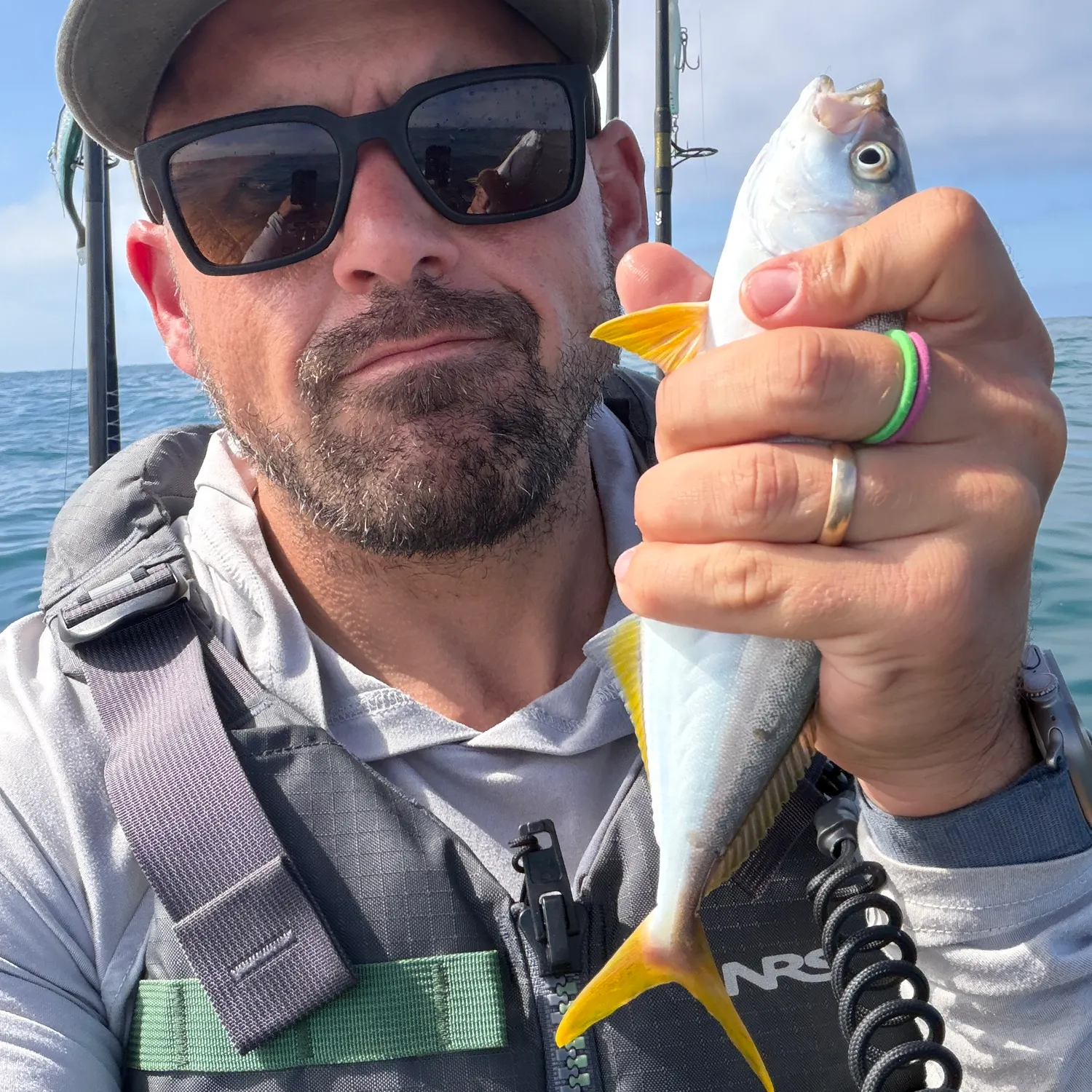 The most recent California yellowtail amberjack catches on Fishbrain