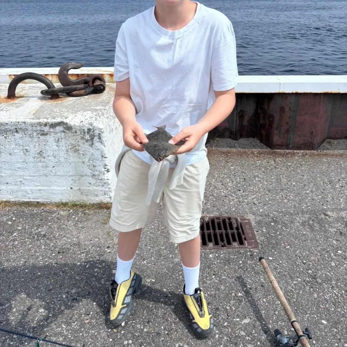 European plaice caught on Fishbrain