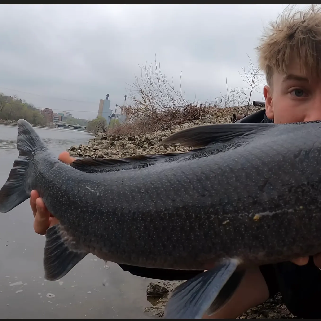 The most recent Blue sucker catches on Fishbrain