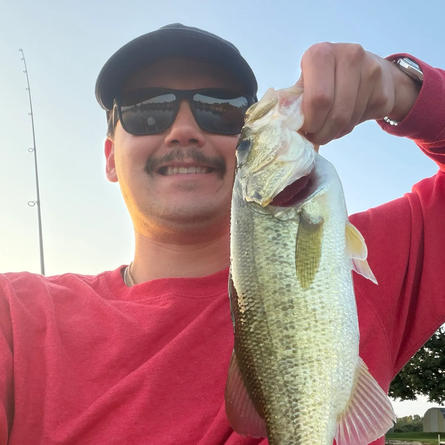 Largemouth bass caught on Fishbrain