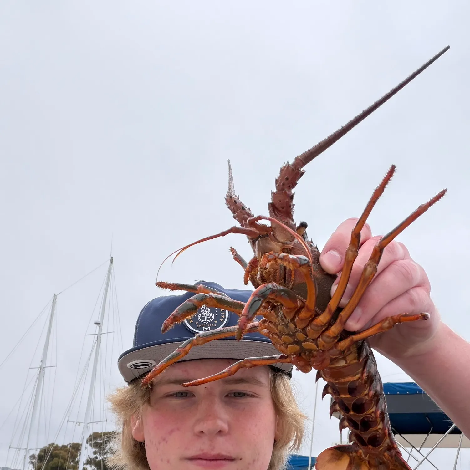 The most recent California spiny lobster catches on Fishbrain