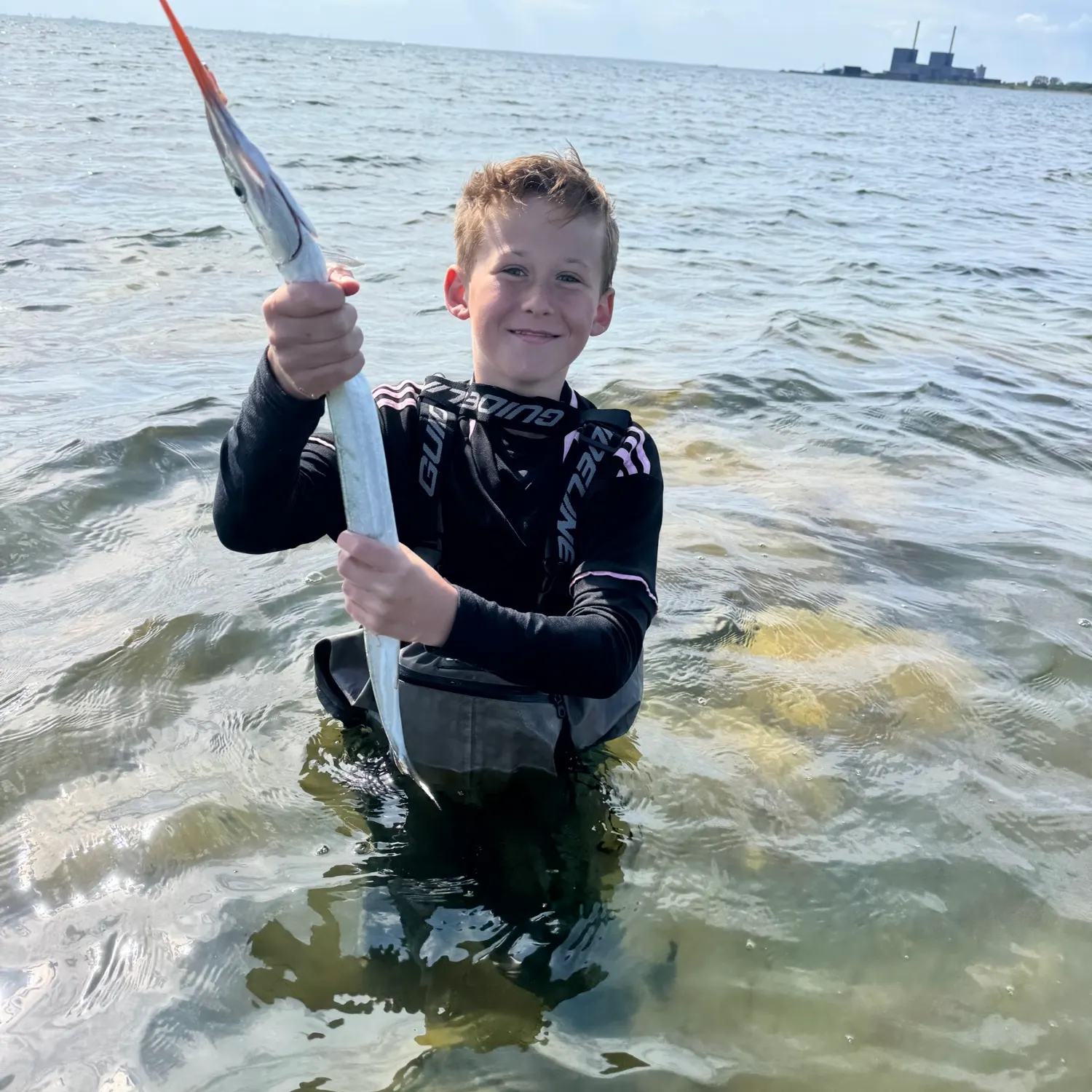 The most recent European garfish catches on Fishbrain