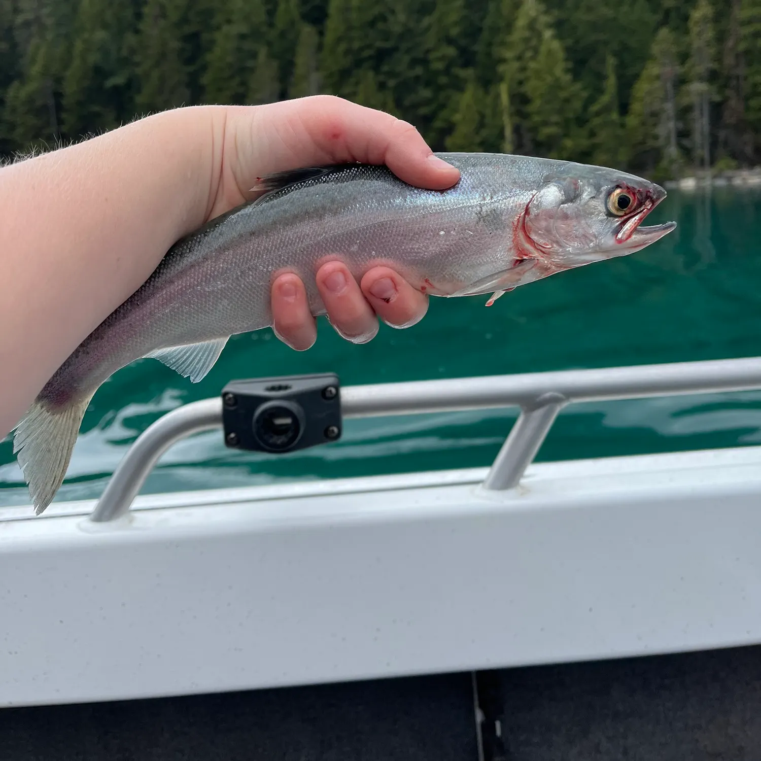 most liked catch image