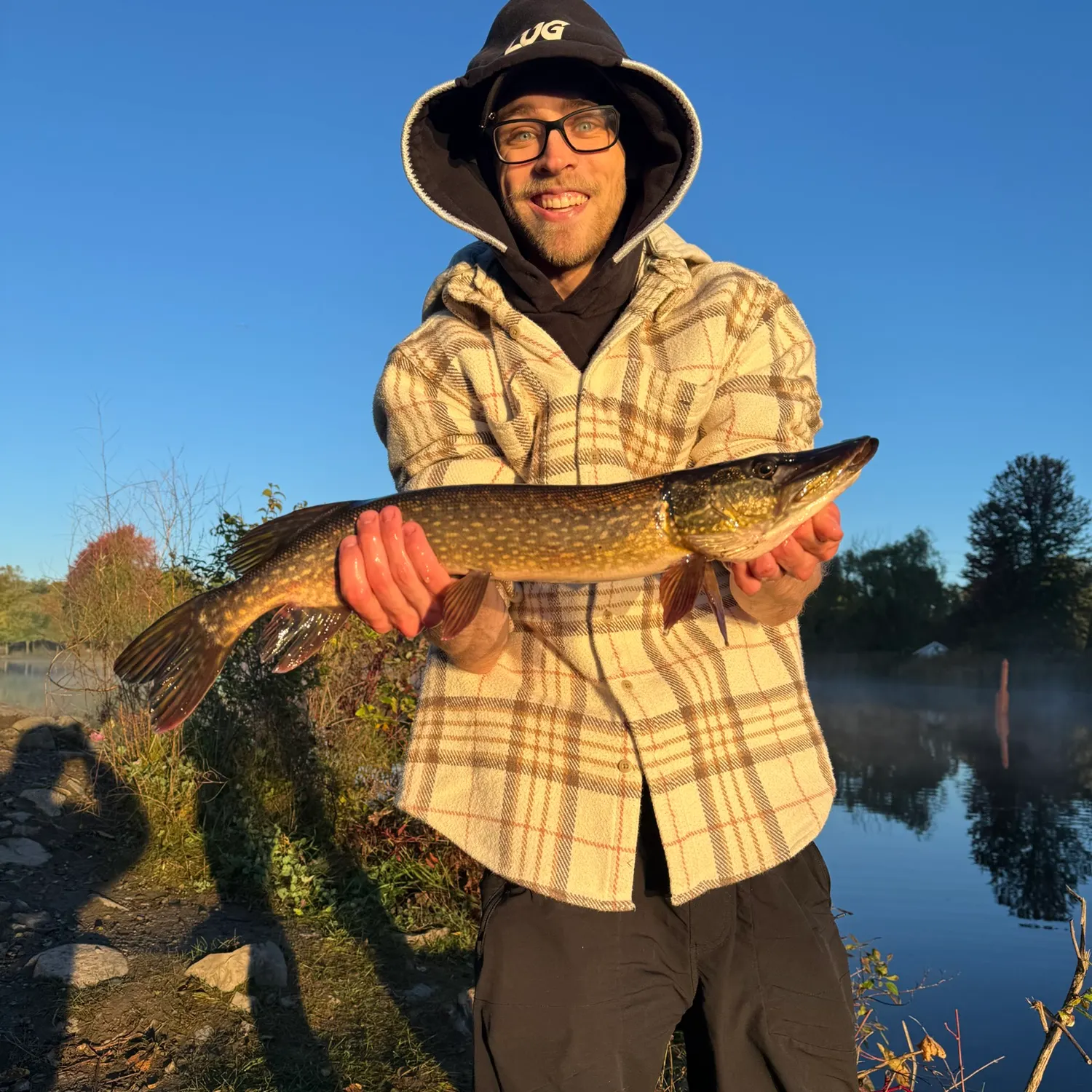 Northern pike caught on Fishbrain