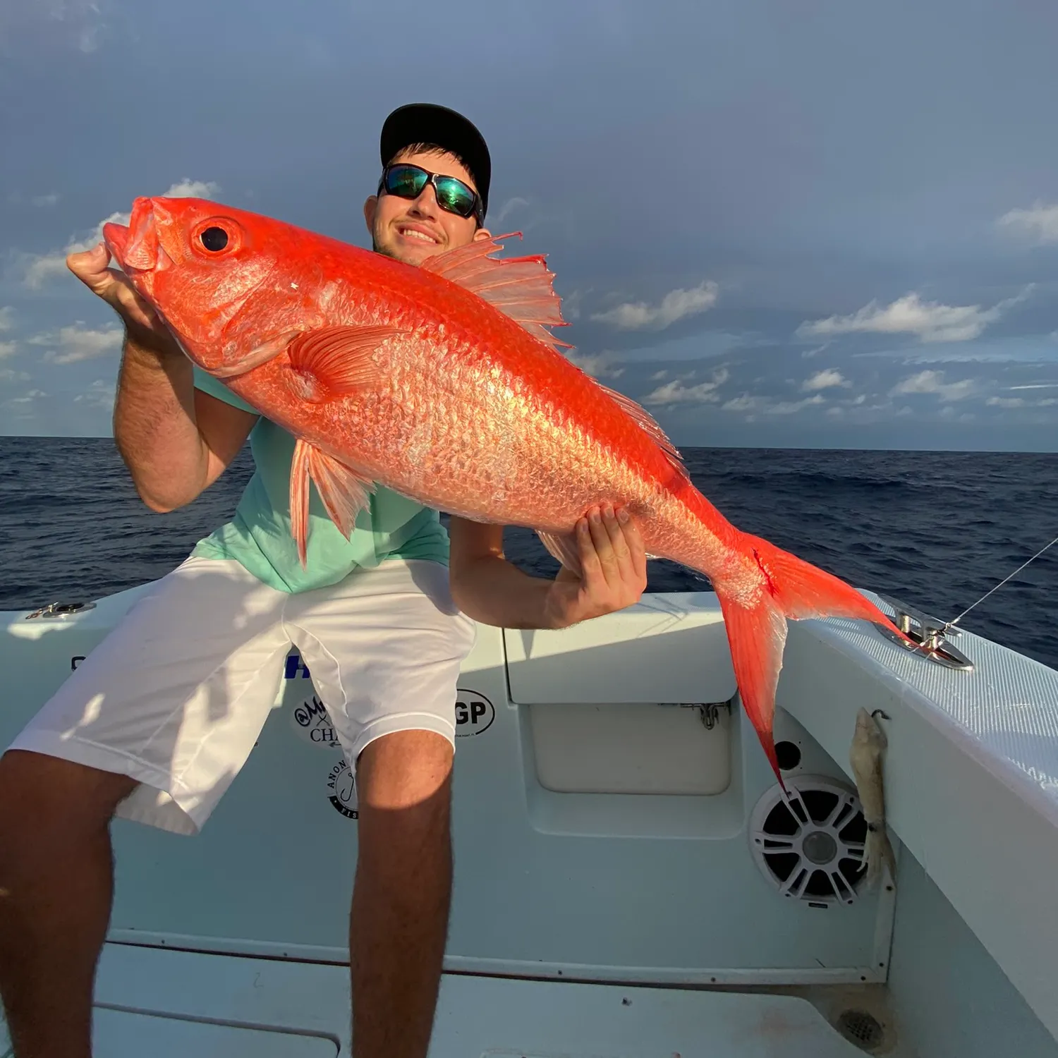 The most popular recent Queen Snapper catch on Fishbrain