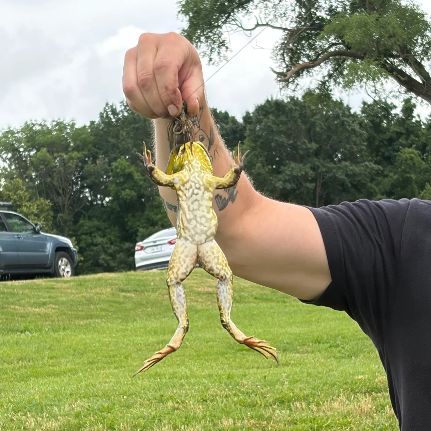 catch