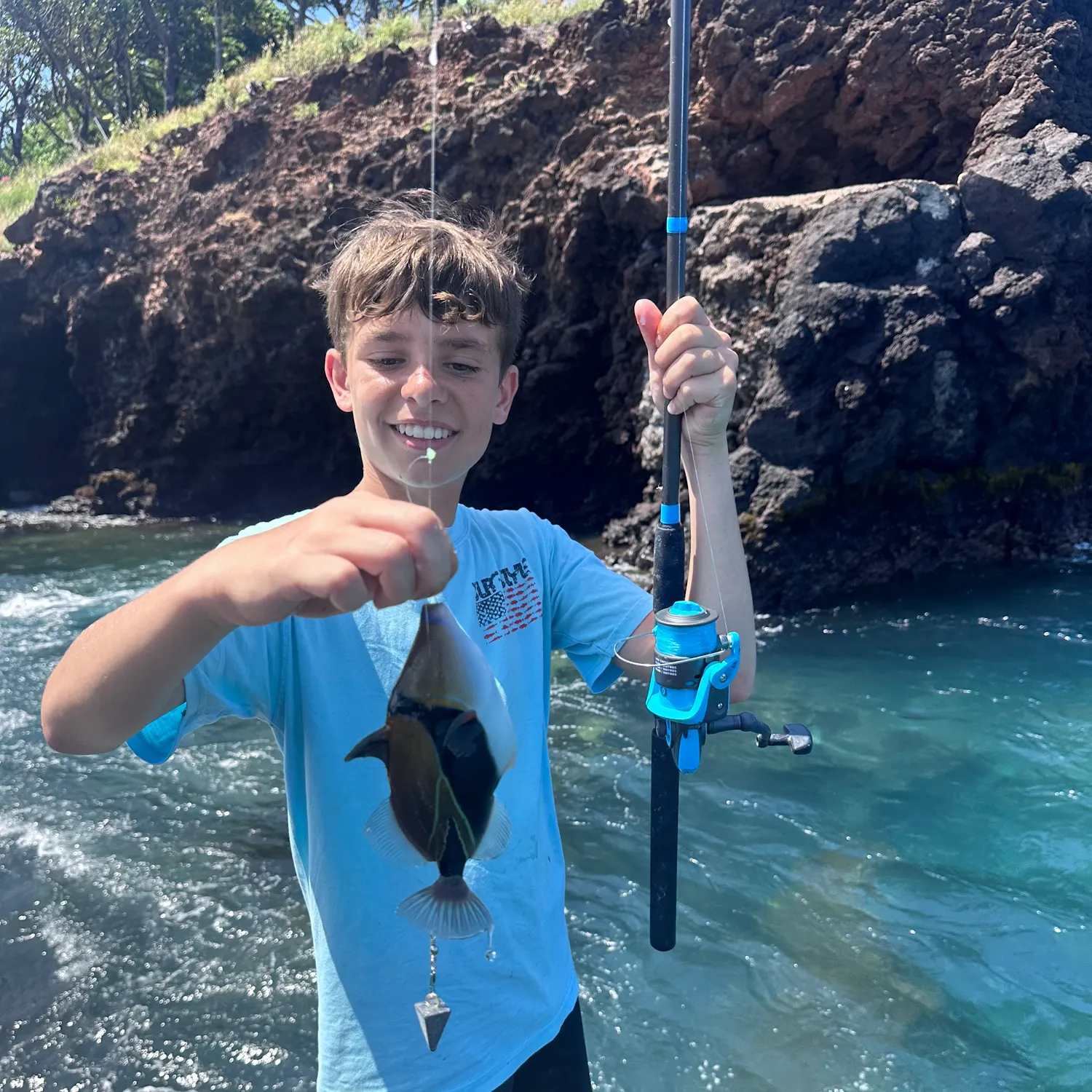 The most recent Wedge-tail triggerfish catches on Fishbrain