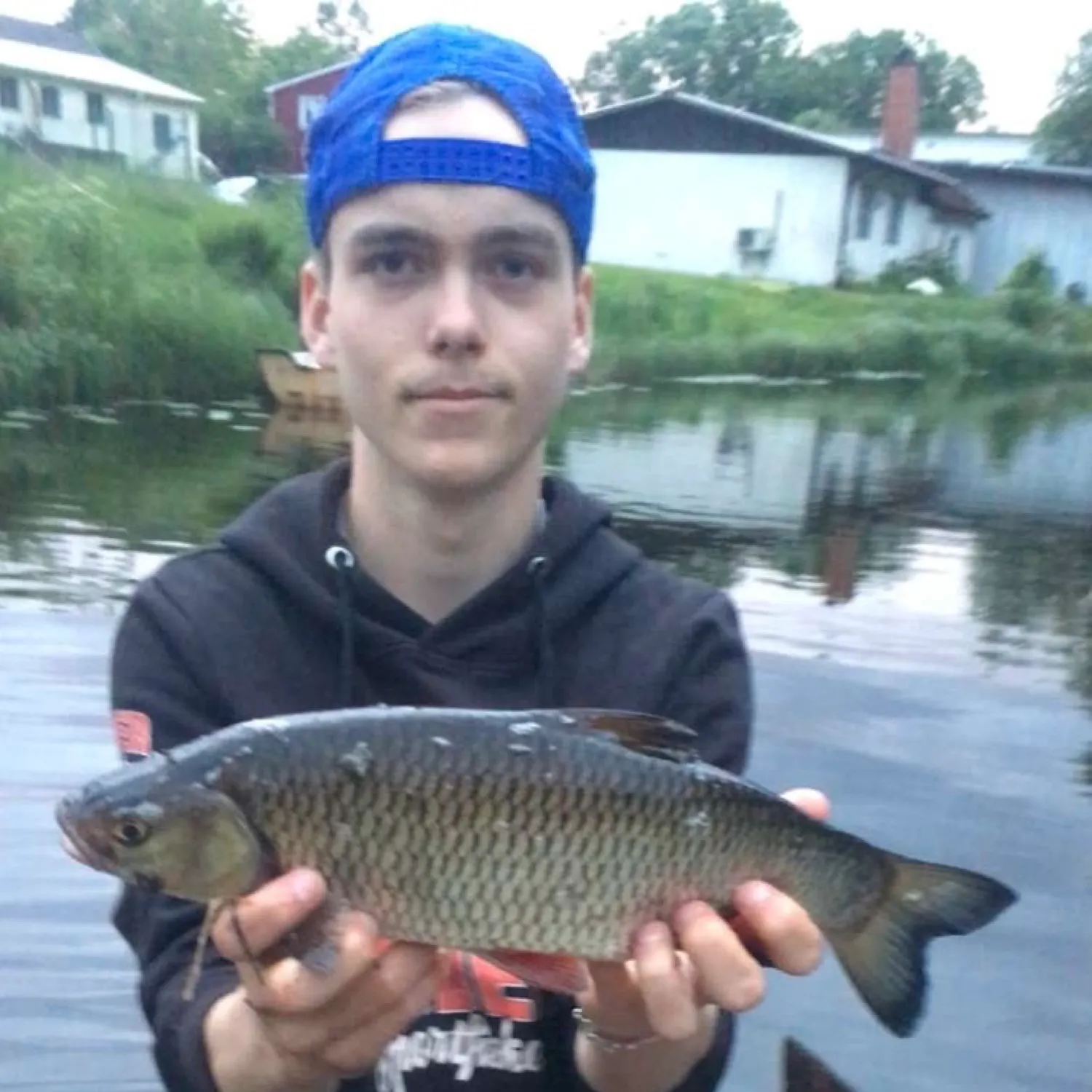 The most recent Siamese carp catches on Fishbrain