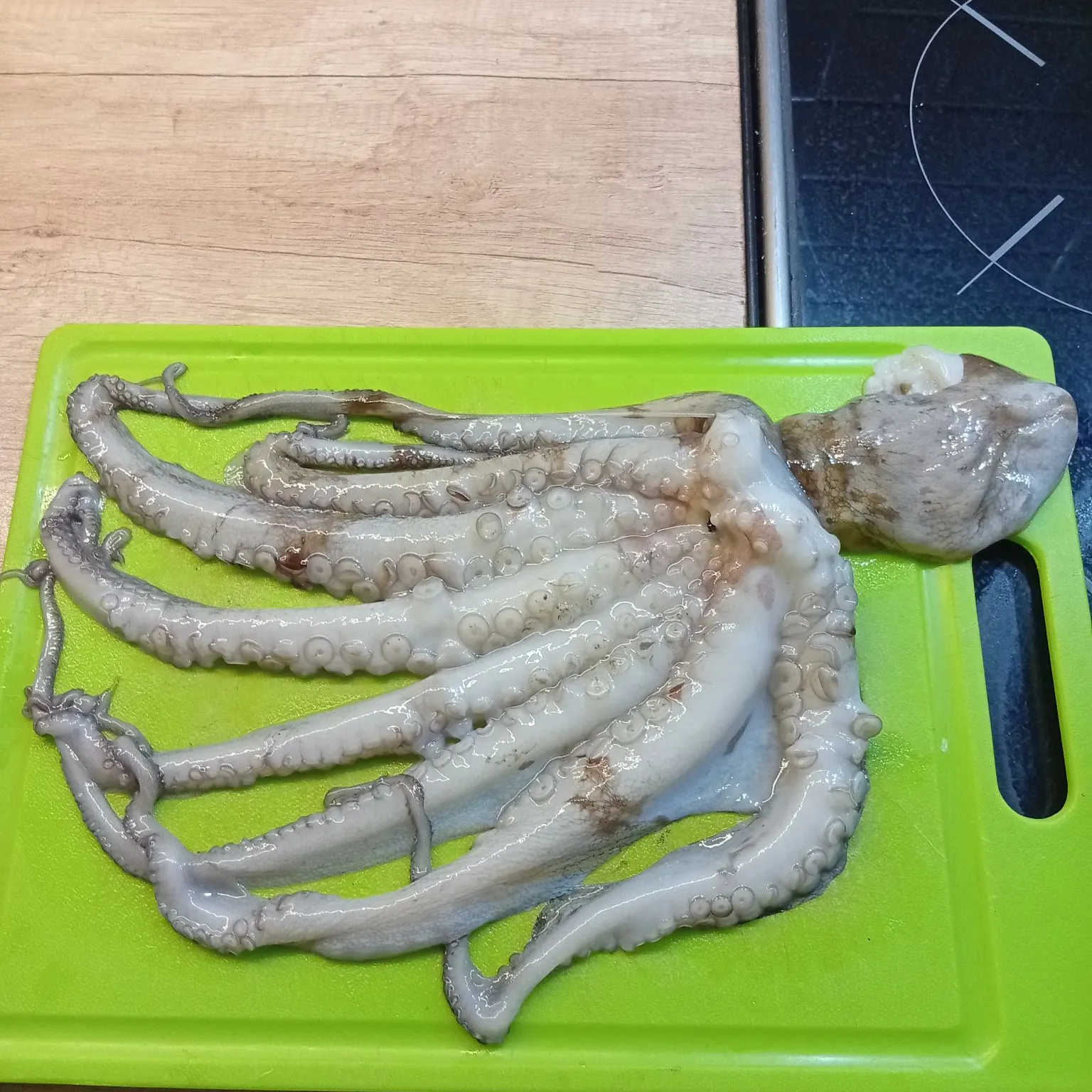Common octopus caught on Fishbrain