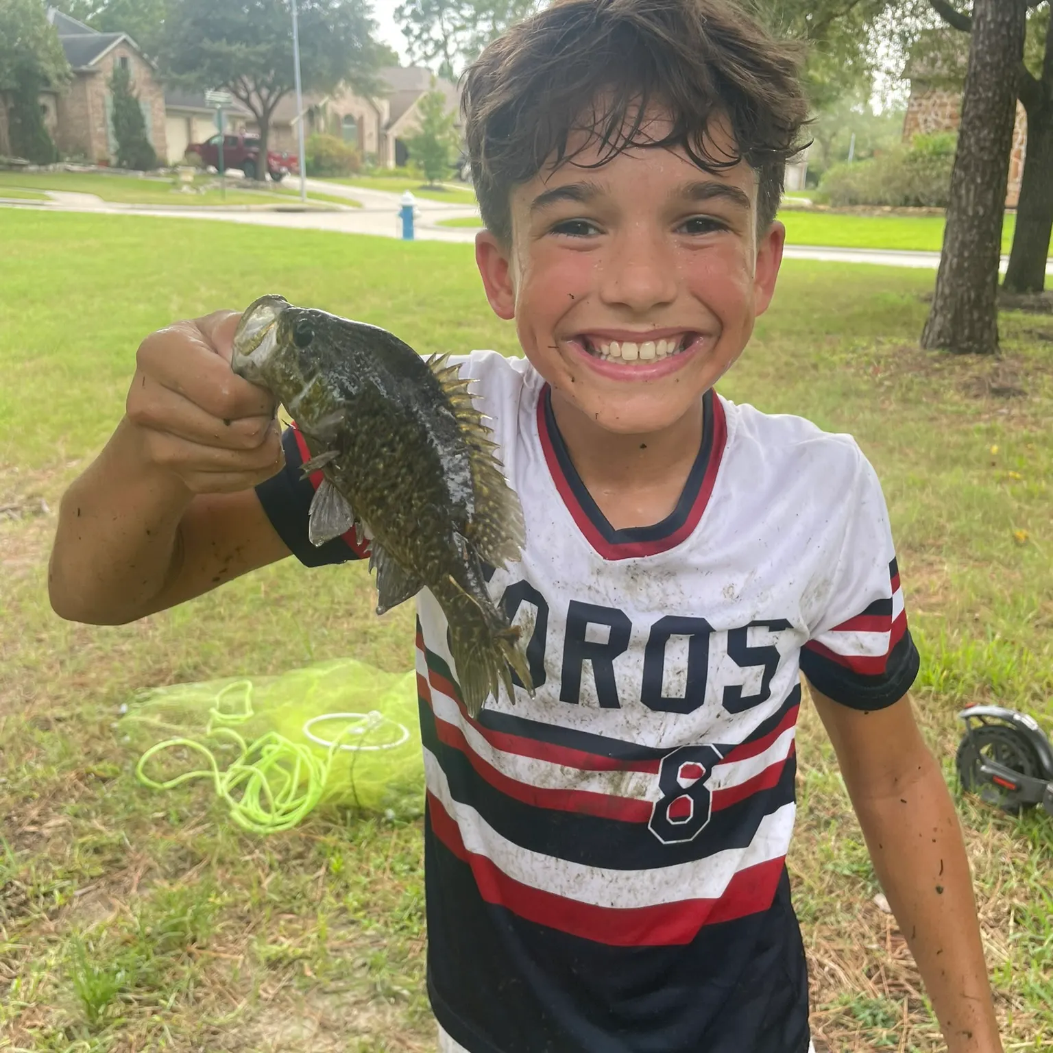 The most recent Green sunfish catches on Fishbrain