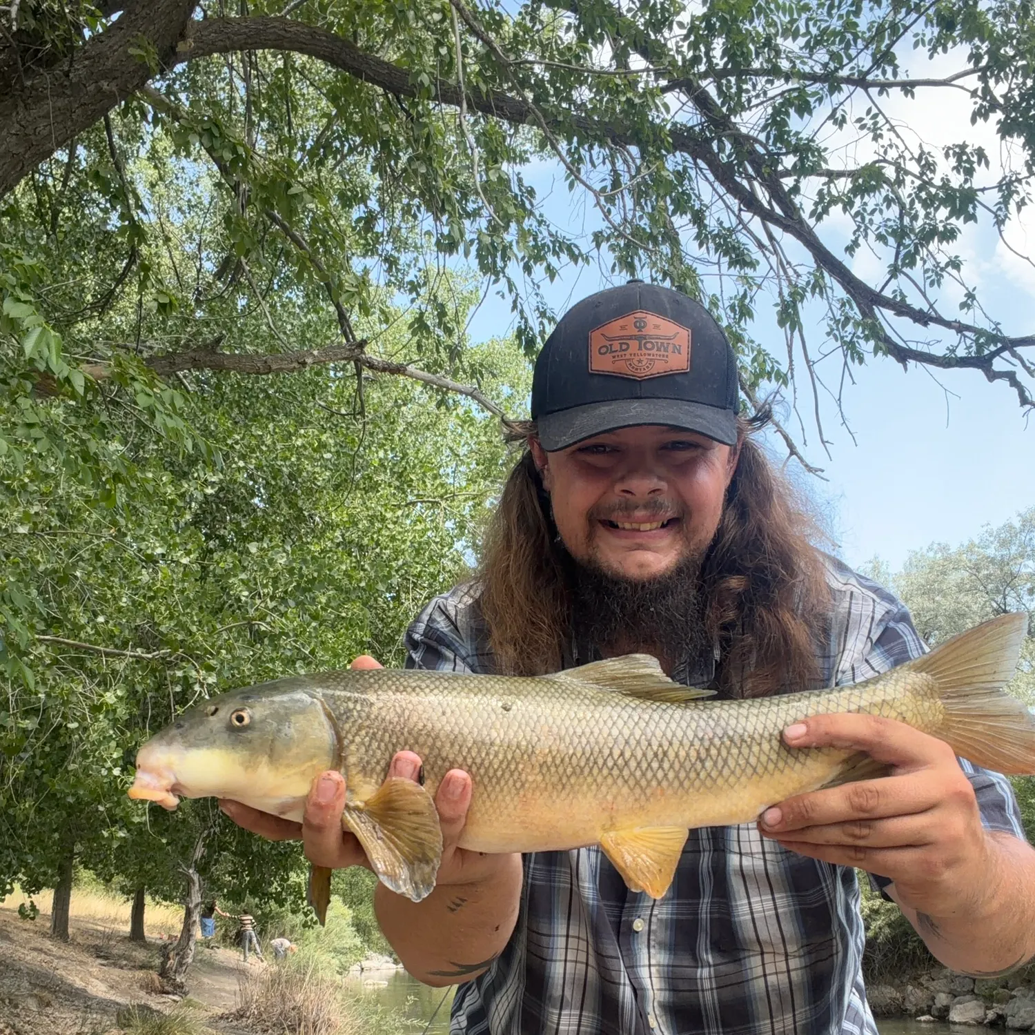 The most recent Utah sucker catches on Fishbrain