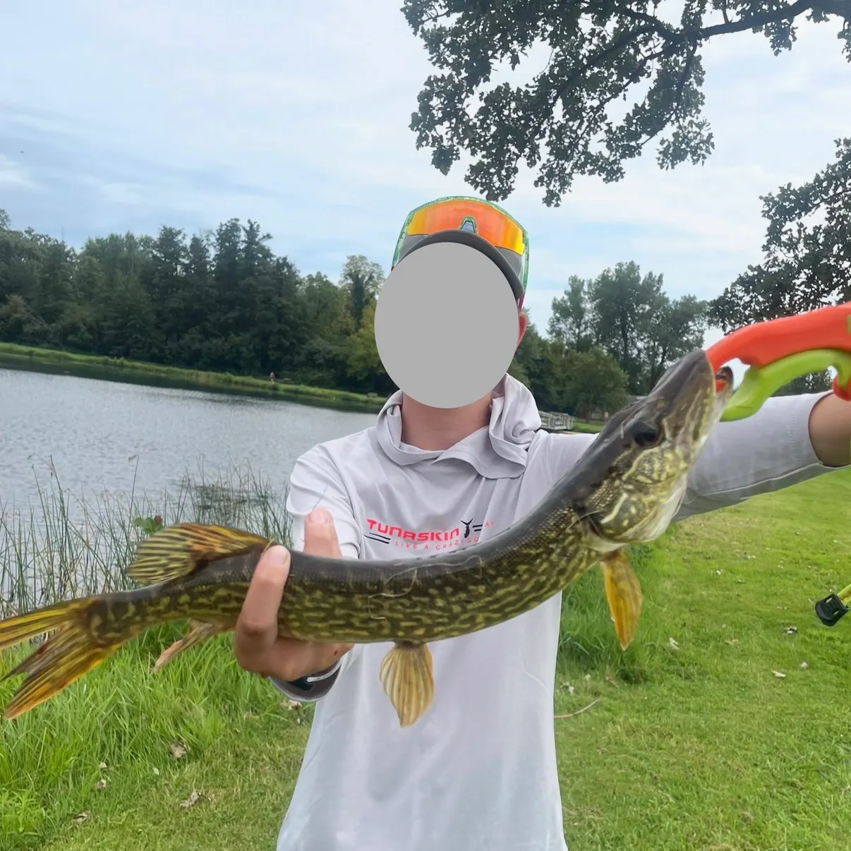 Northern pike caught on Fishbrain