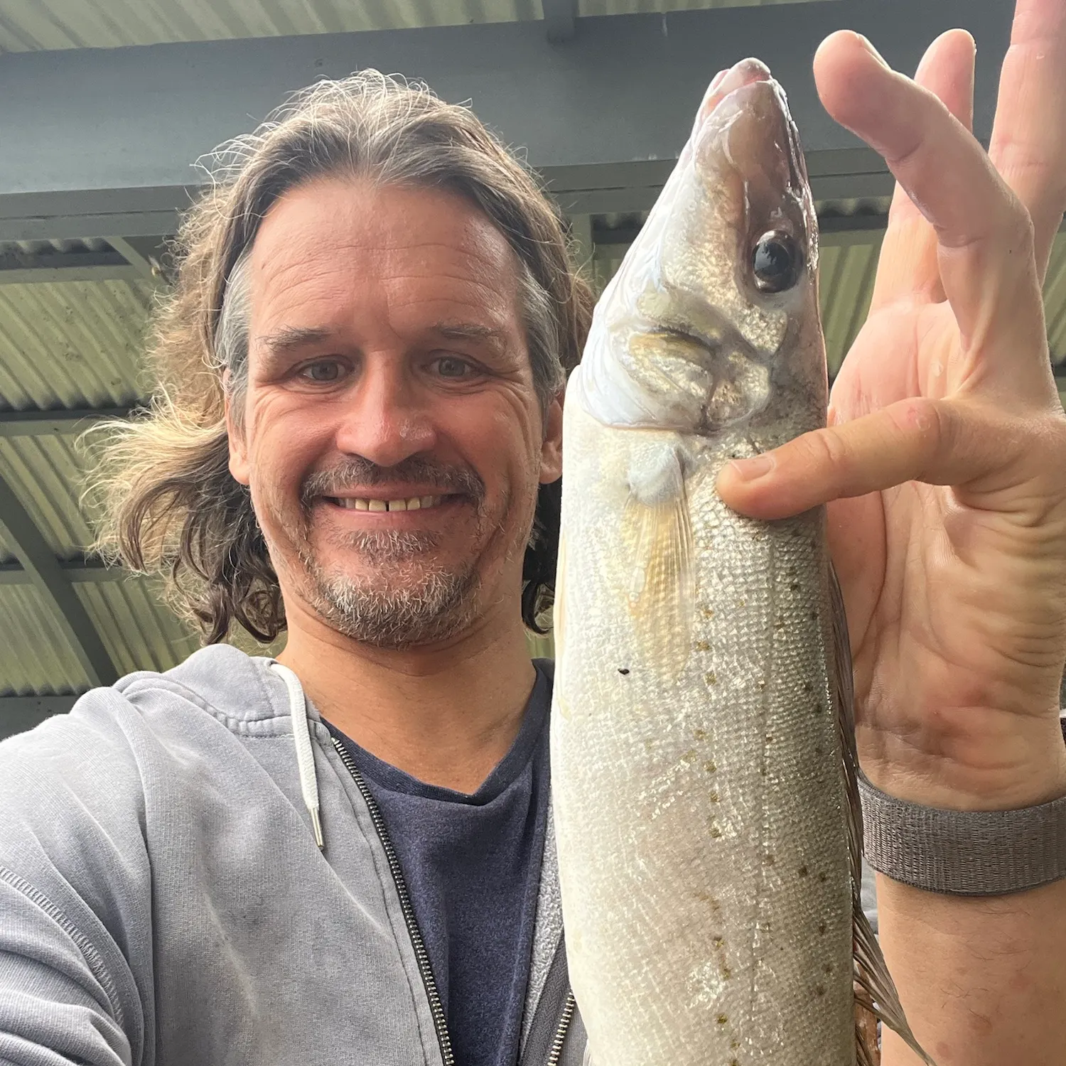 King George whiting caught on Fishbrain