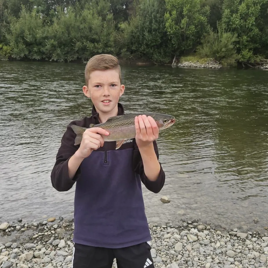 The most recent Rainbow trout catches on Fishbrain