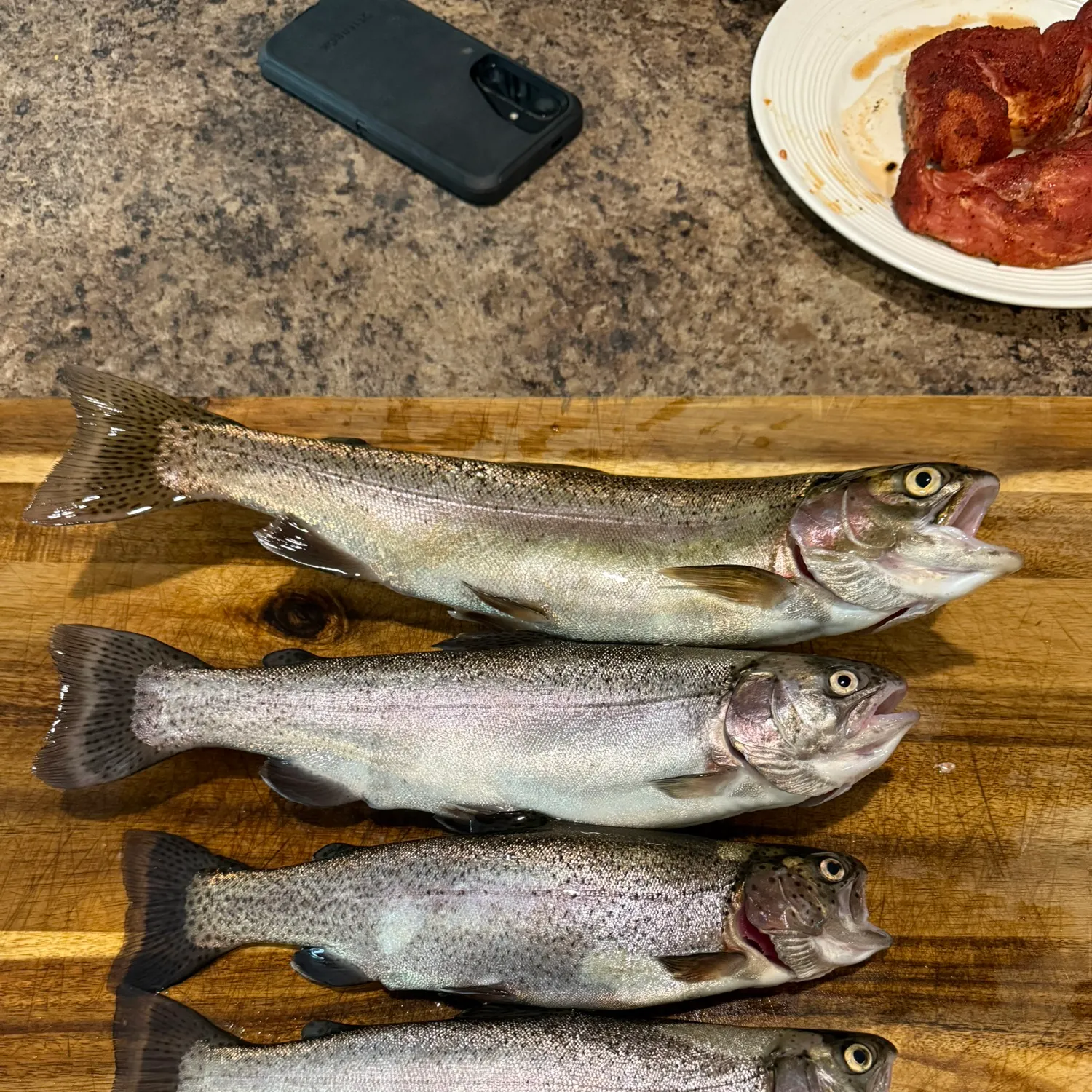 recently logged catches