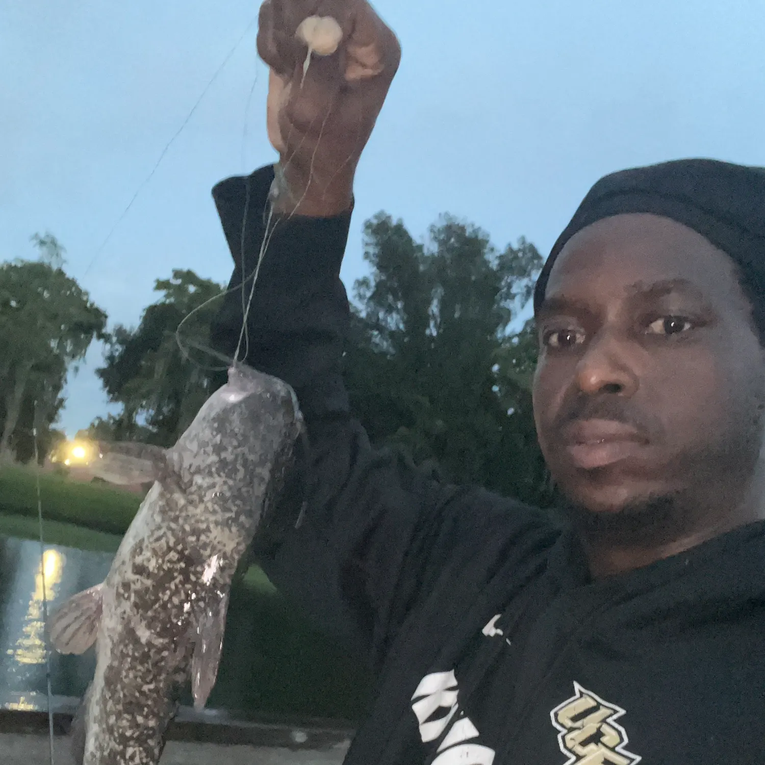Brown bullhead caught on Fishbrain