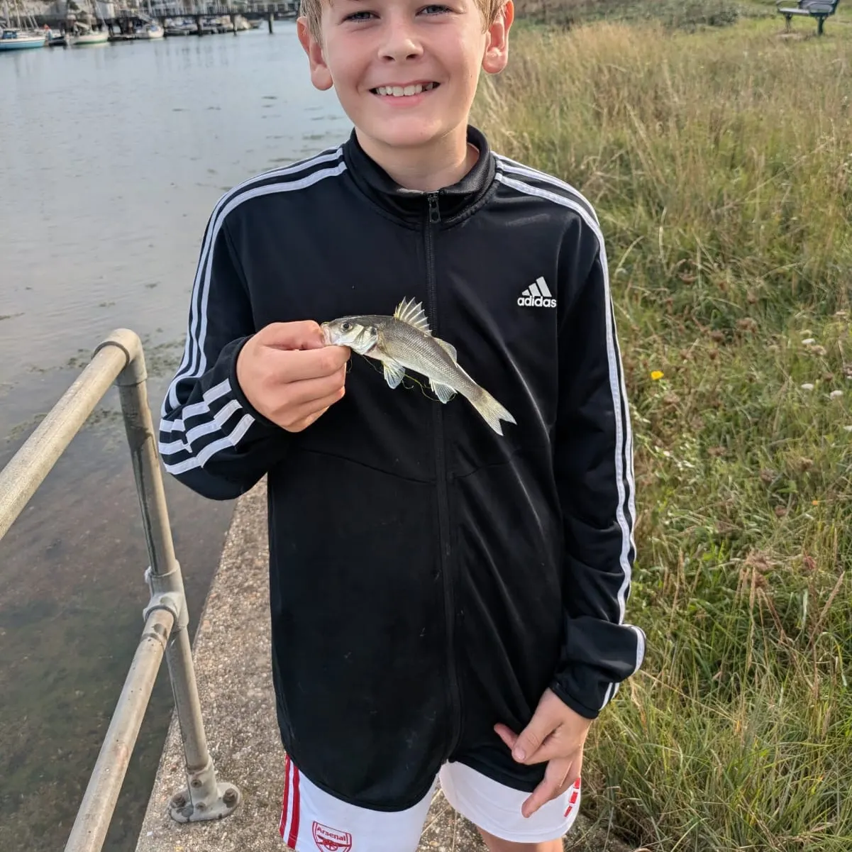 European seabass caught on Fishbrain