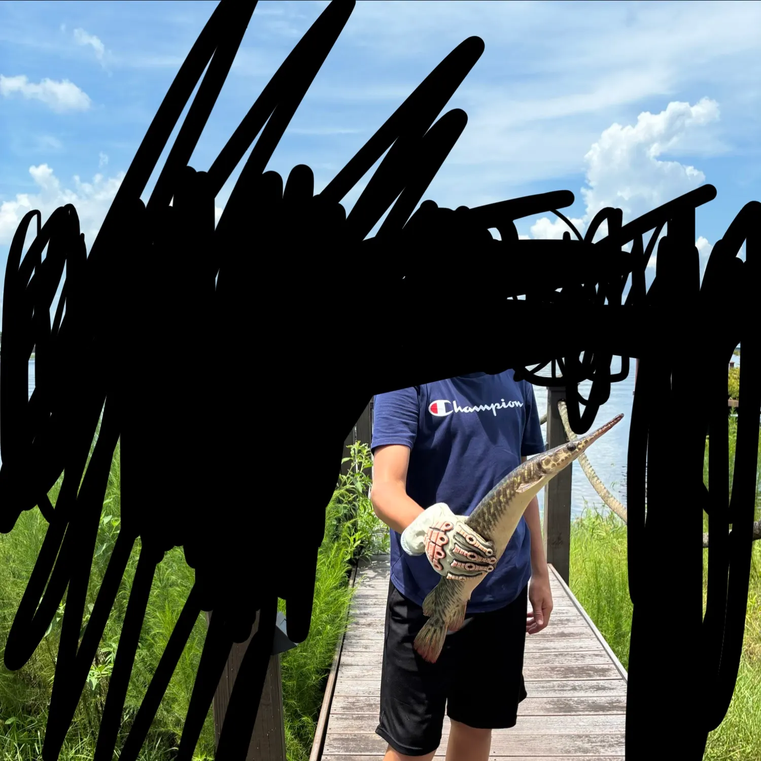 The most recent Florida gar catches on Fishbrain