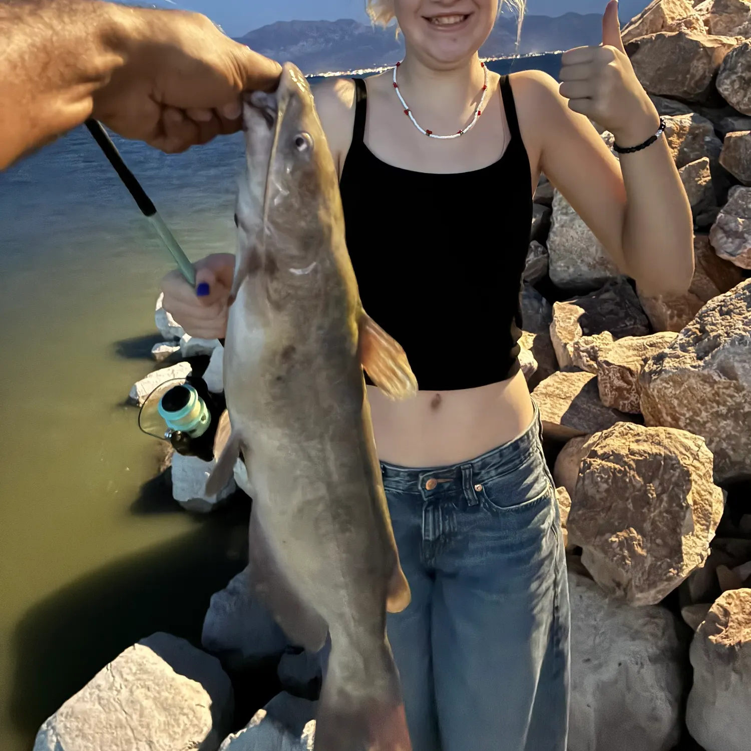 Channel catfish caught on Fishbrain