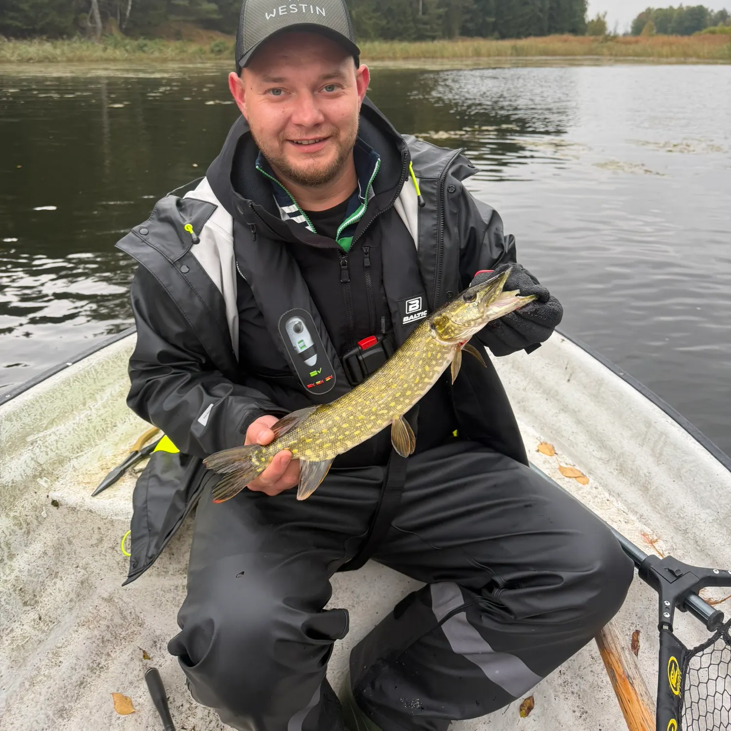 Northern pike caught on Fishbrain