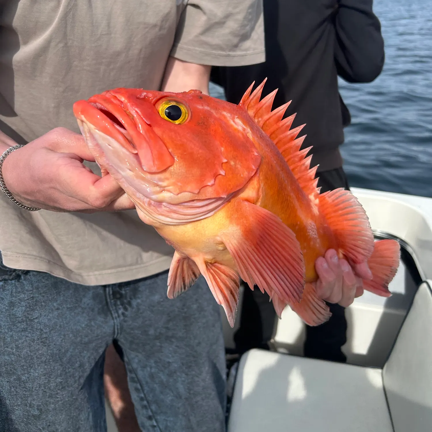 The most recent Yelloweye rockfish catches on Fishbrain