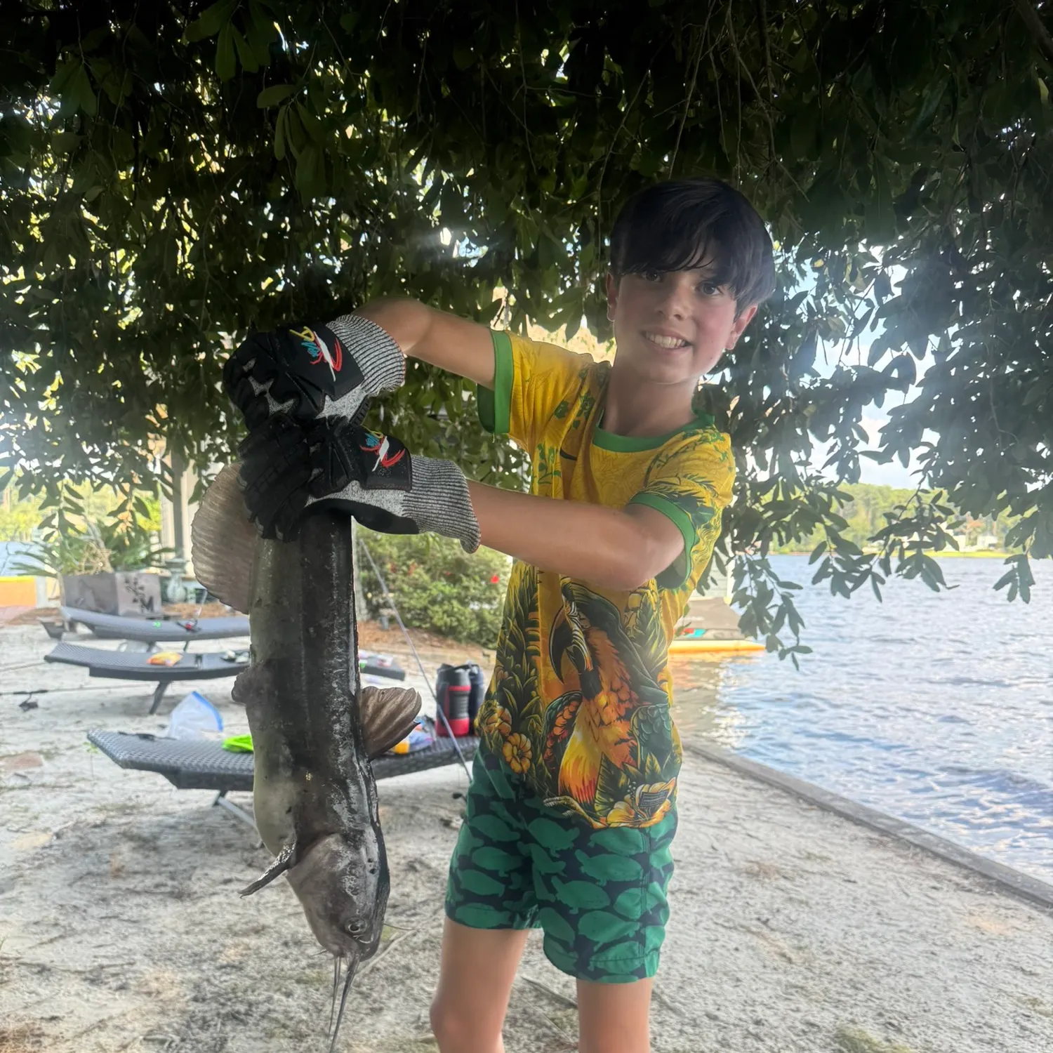 Channel catfish caught on Fishbrain