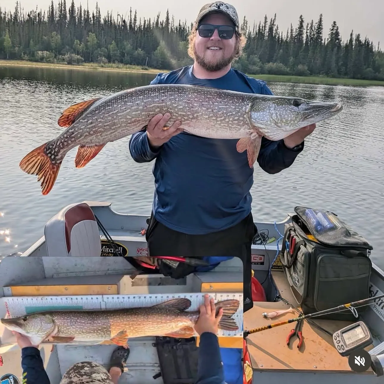 Northern pike caught on Fishbrain