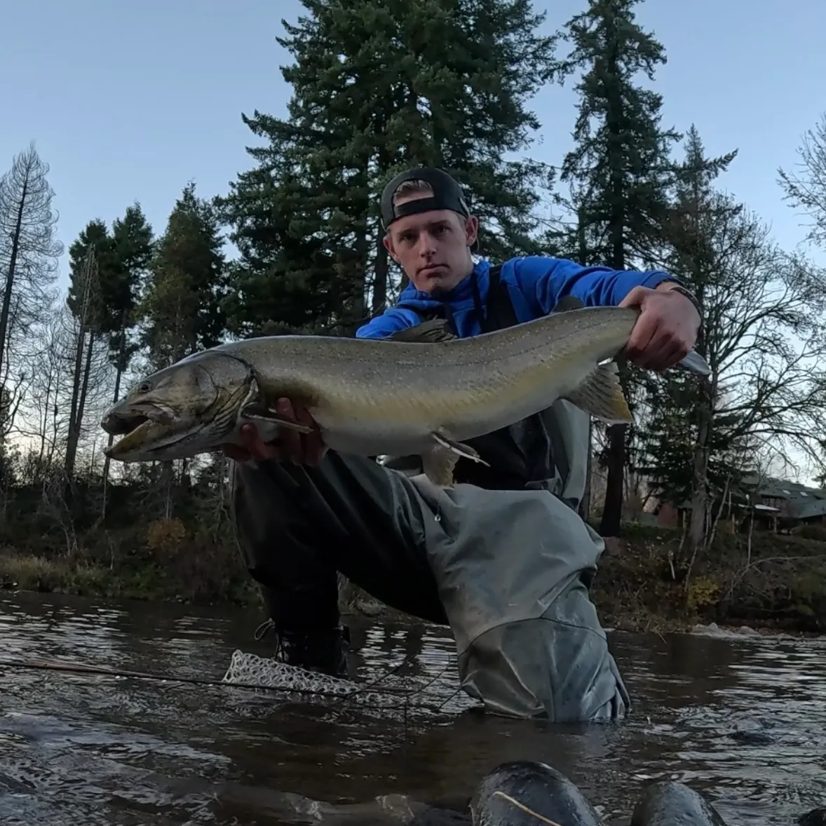 The most recent Bull trout catches on Fishbrain