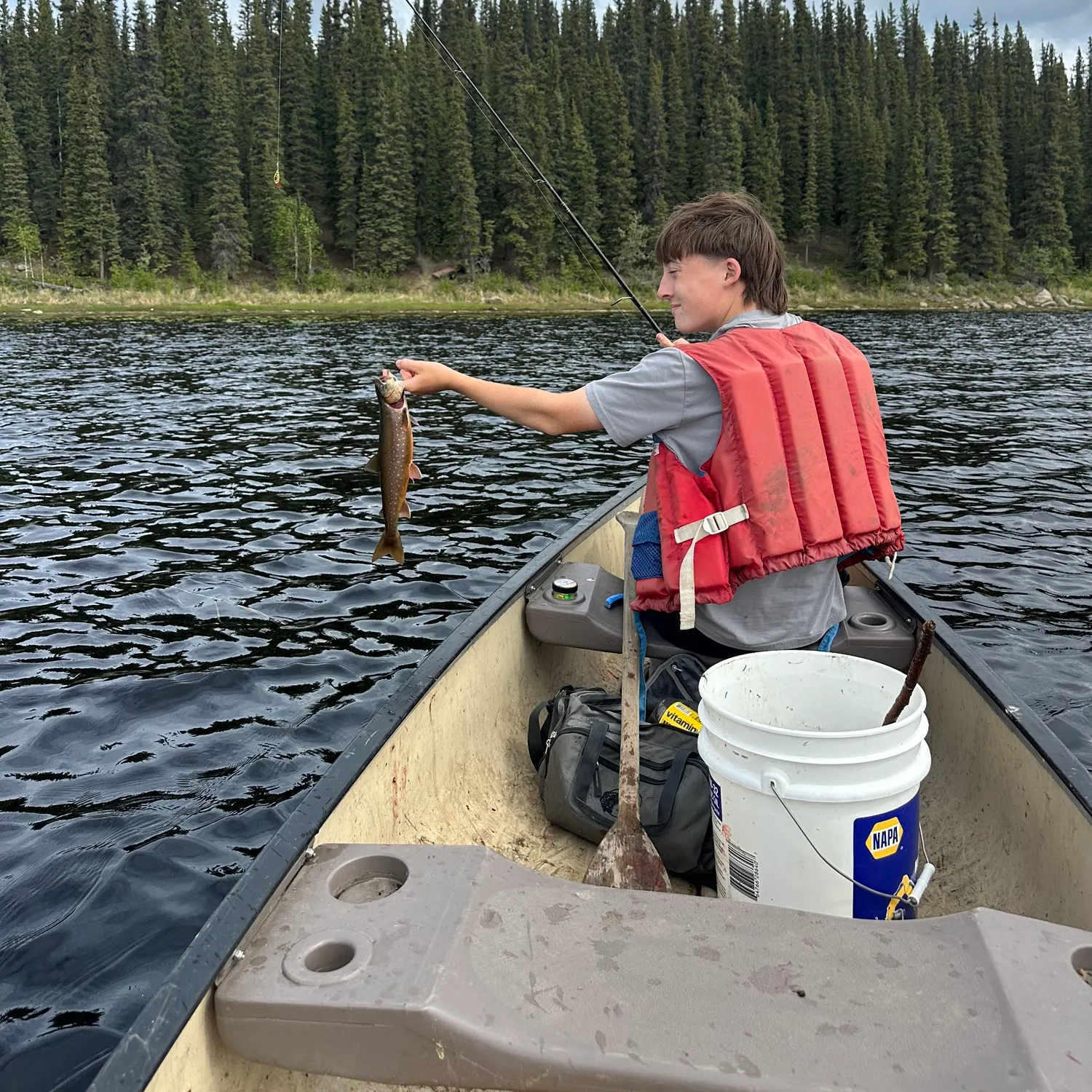 The most recent Arctic char catches on Fishbrain