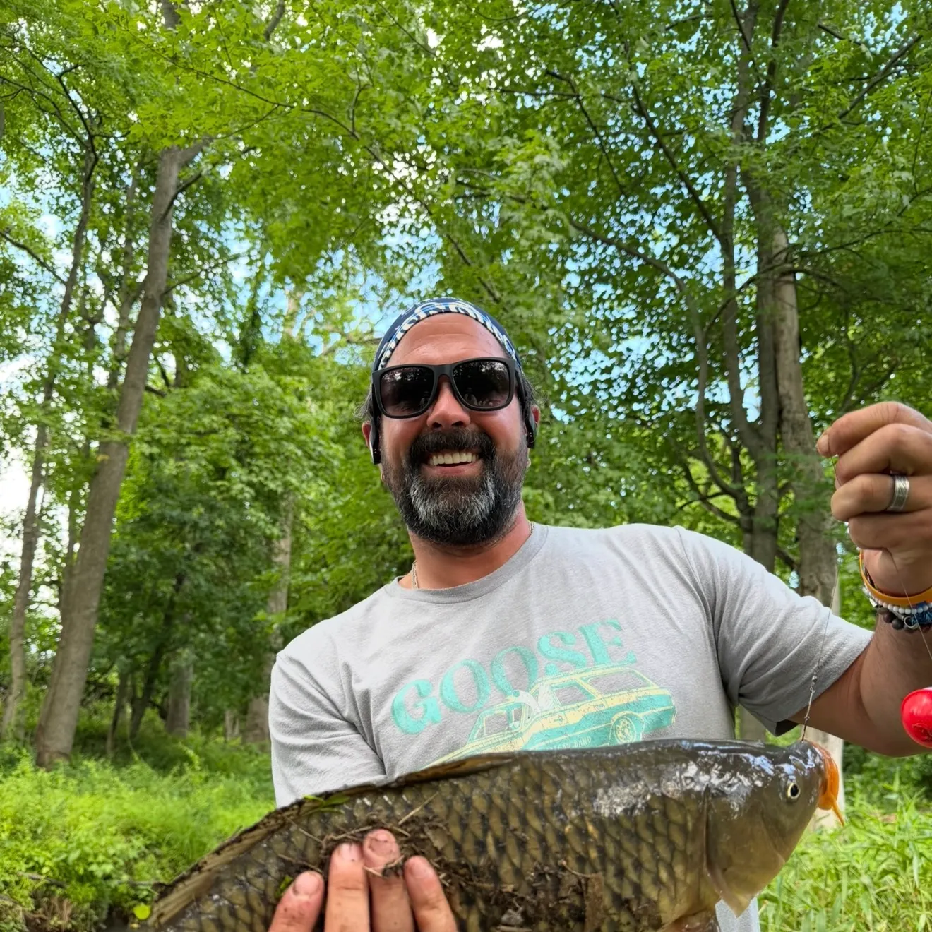 Common carp caught on Fishbrain