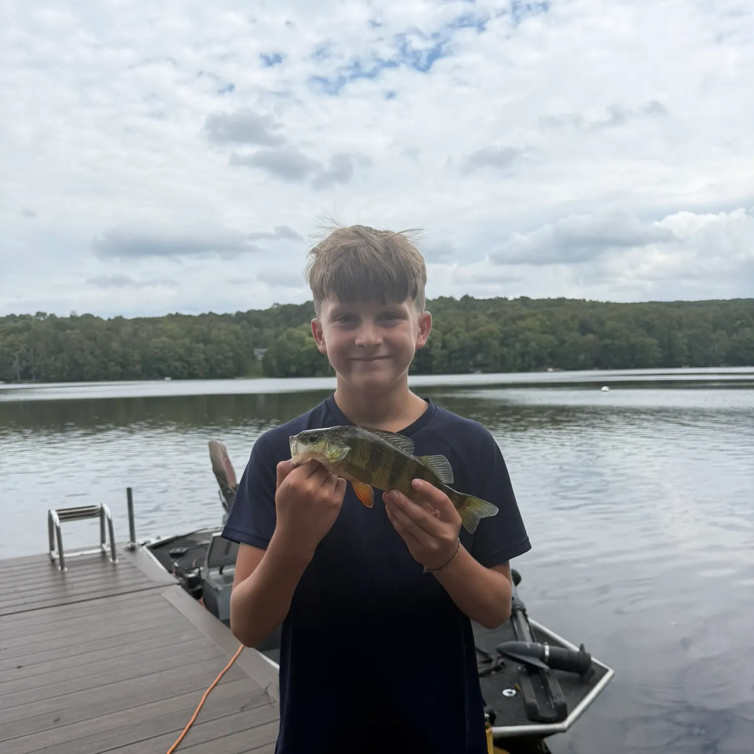 Yellow perch caught on Fishbrain