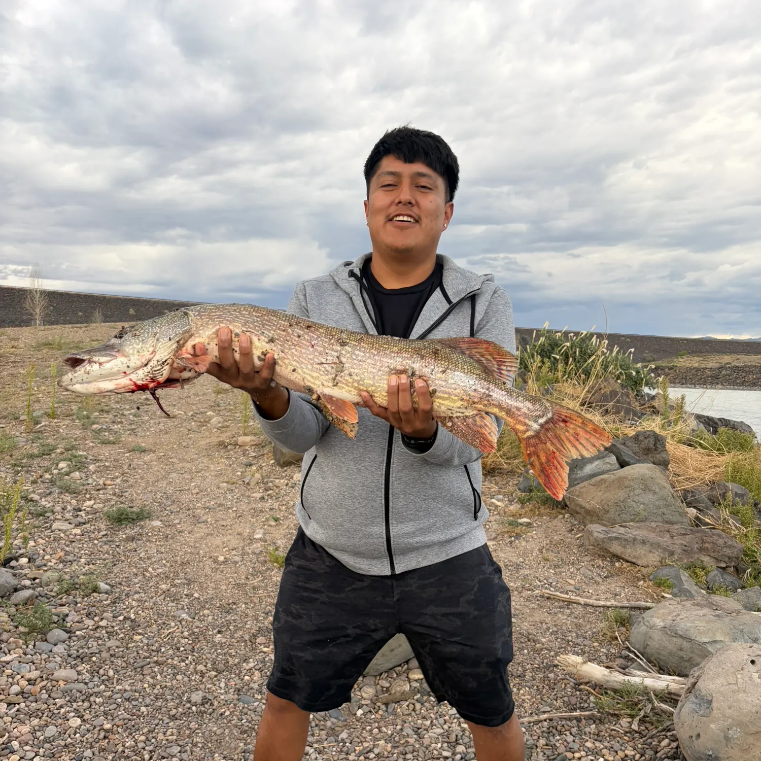 Northern pike caught on Fishbrain